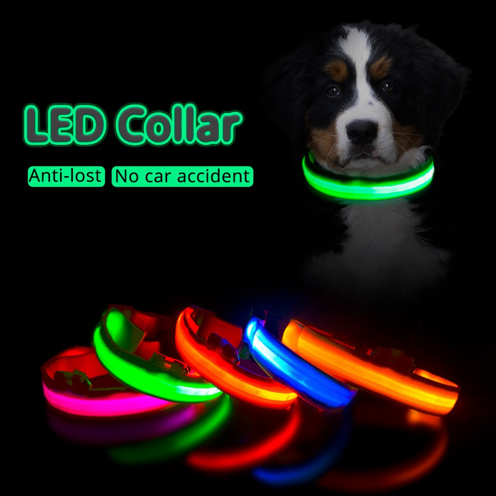 Multi-Colored LED Pet Collar
