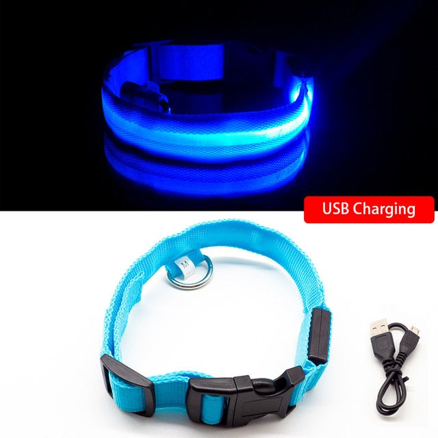 Multi-Colored LED Pet Collar